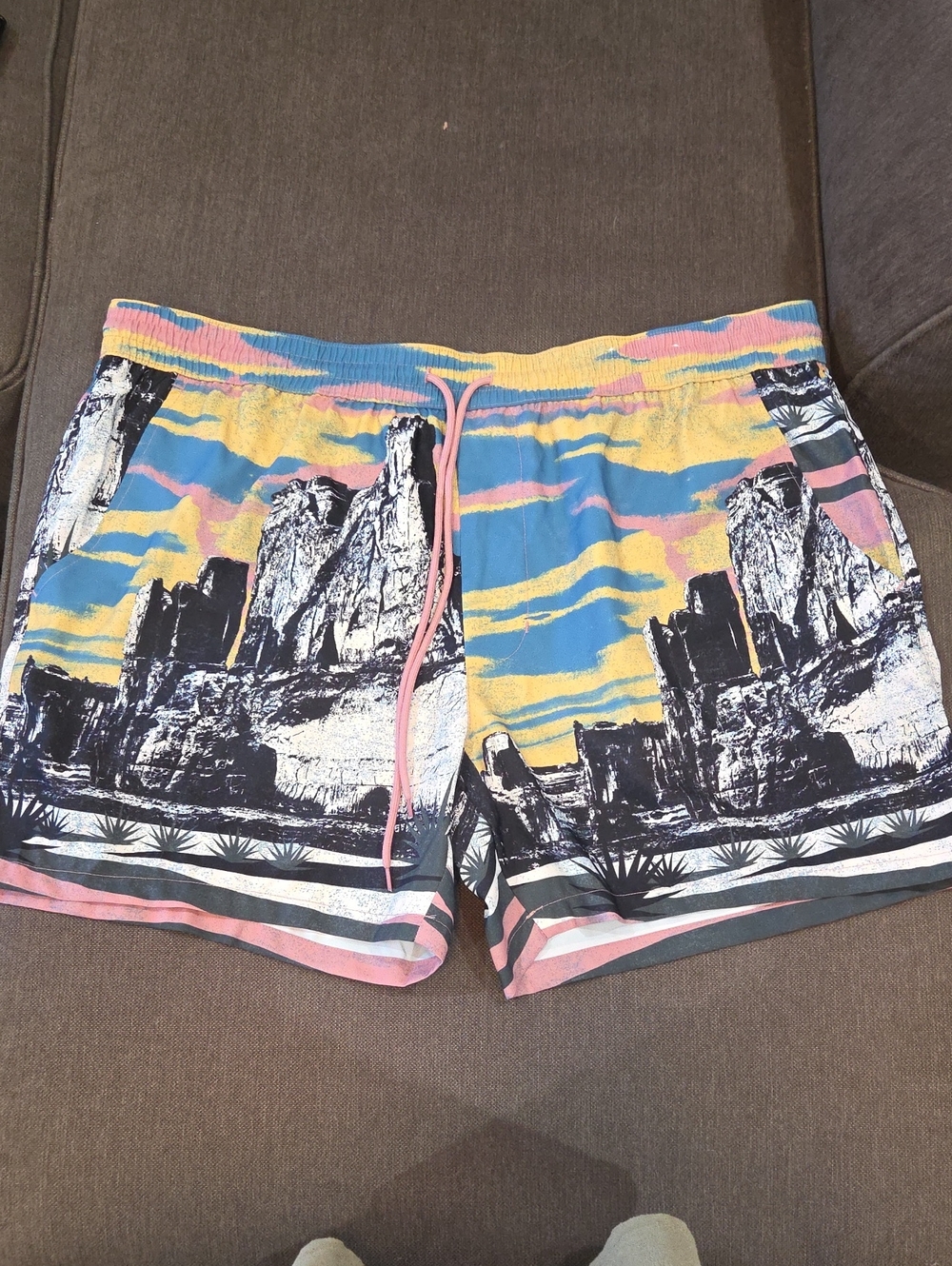 Arizona Jean Company Men's Scenic Print Athletic Shorts in Blue, Yellow, Pink